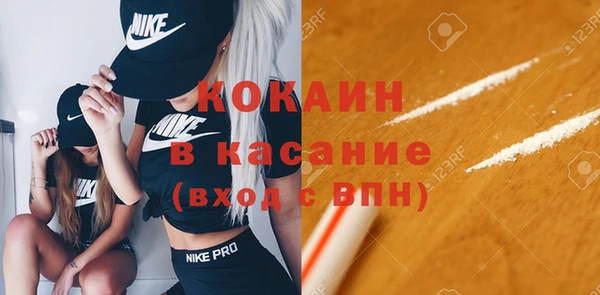 твердый Богородицк