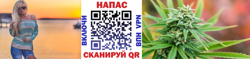 Канабис гибрид Ершов